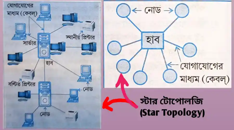 topology in computer network