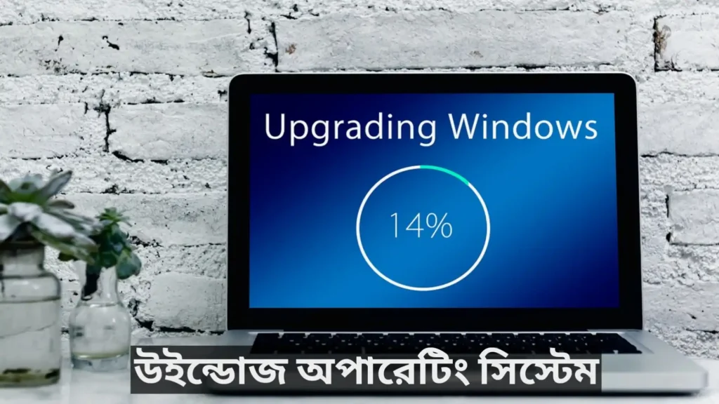 MS DOS & WOS operating system