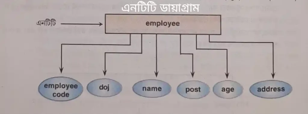 ডেটা মডেল (data models in dbms) কি | প্রকারভেদ উদাহরণসহ আলোচনা data models in dbms data models in dbms