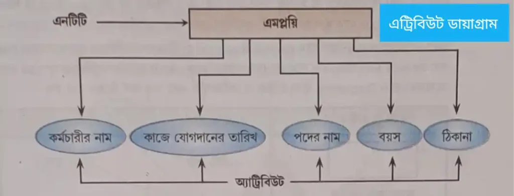 ডেটা মডেল (data models in dbms) কি | প্রকারভেদ উদাহরণসহ আলোচনা data models in dbms data models in dbms