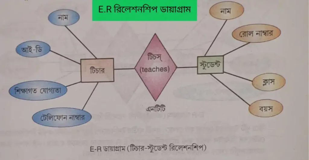 ডেটা মডেল (data models in dbms) কি | প্রকারভেদ উদাহরণসহ আলোচনা data models in dbms data models in dbms