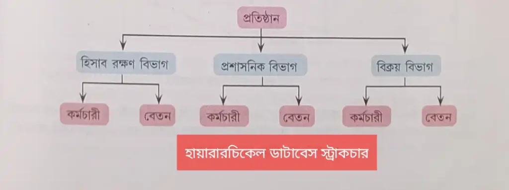 ডেটা মডেল (data models in dbms) কি | প্রকারভেদ উদাহরণসহ আলোচনা data models in dbms data models in dbms